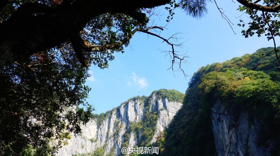     绝美地貌景色！陕西汉中发现世界级天坑群