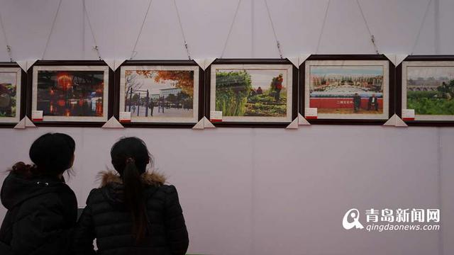 组图:马家沟航天芹菜春节上市 喝牛奶长大