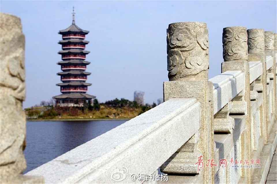 初冬胶州后花园美如画 少海湿地碧波粼粼