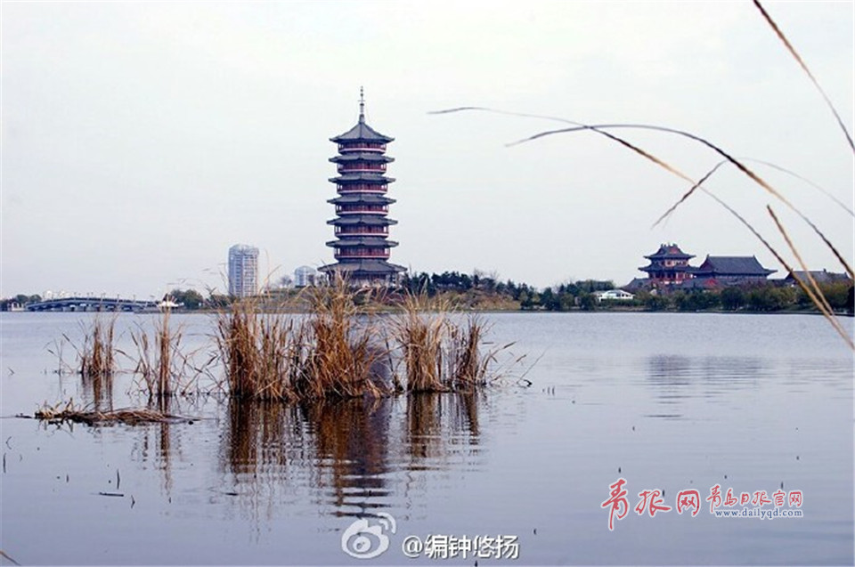 初冬胶州后花园美如画 少海湿地碧波粼粼