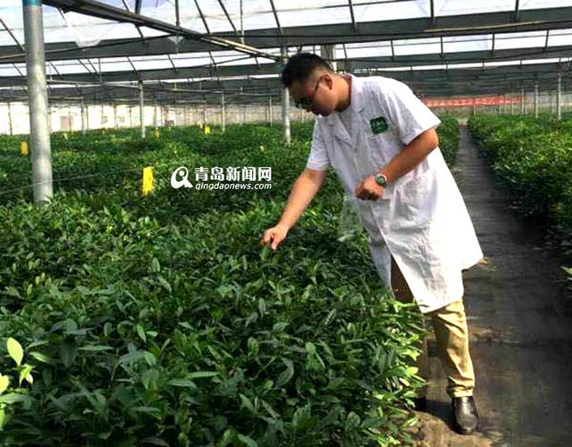 国内首款食品安全快检车：测地沟油仅需40分钟
