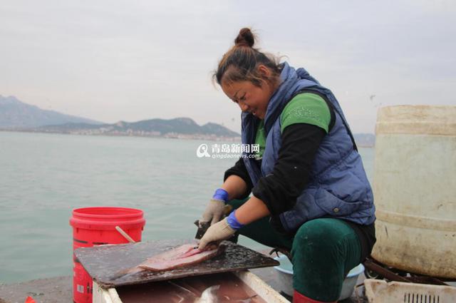 高清：又到港东码头晒鱼季 鲜鱼晒着更好吃