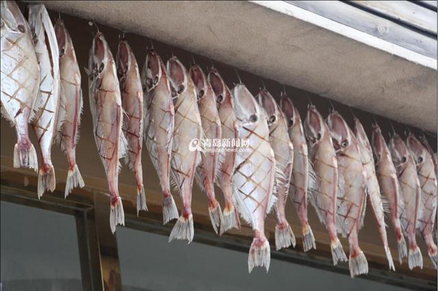 高清：又到港东码头晒鱼季 鲜鱼晒着更好吃