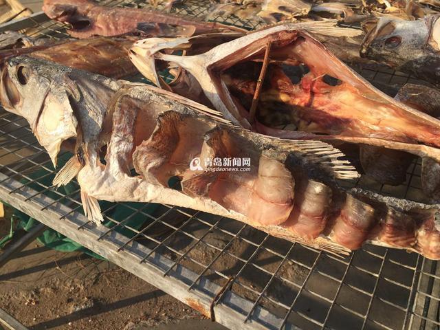 高清：又到港东码头晒鱼季 鲜鱼晒着更好吃