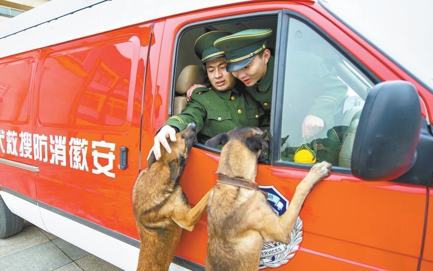 泪崩一幕！消防兵退伍搜救犬扑上车要跟着走