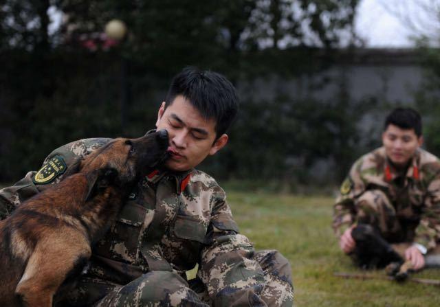 泪崩一幕！消防兵退伍搜救犬扑上车要跟着走