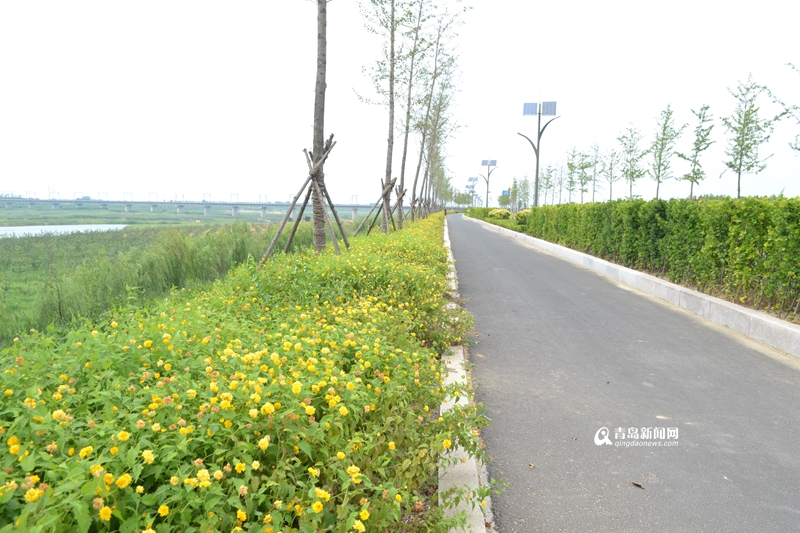 高清:大沽河堤防工程荣获大禹奖