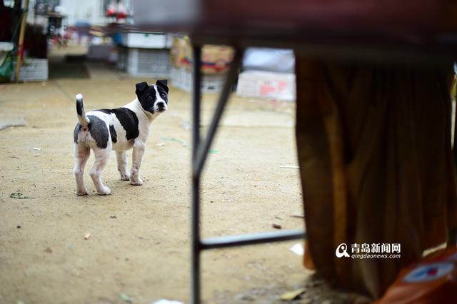 【青岛故事】卖水果的小女孩:我的妈妈不在了