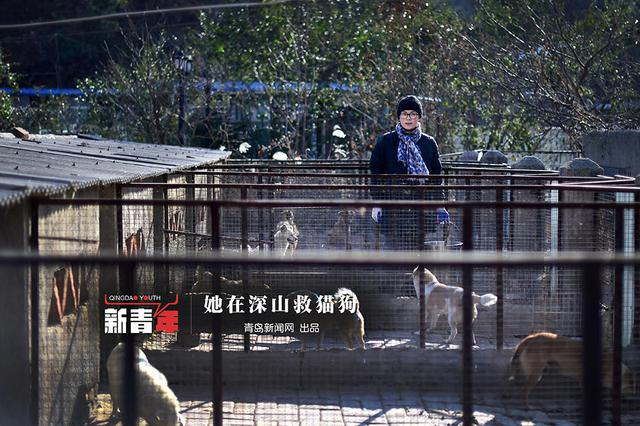 【新青年】80后青岛嫚于君:我把青春献给了狗