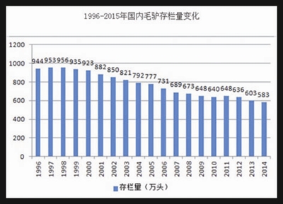 疯狂的阿胶疯狂的驴