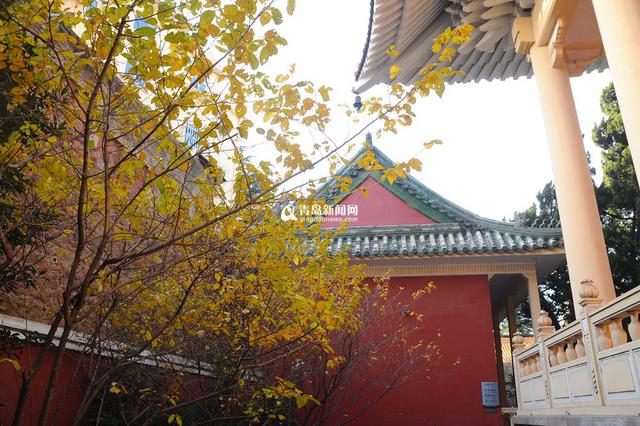 高清:这里常年免费开放 能拍出小故宫的感觉