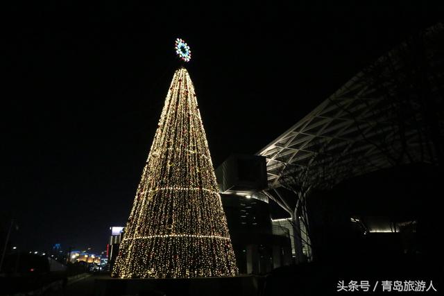 圣诞拍照指南:青岛最美圣诞树都在这里了(图)