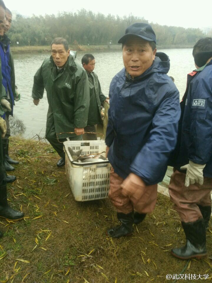 武汉一高校捕鱼两万斤 学生免费吃红烧鱼两天