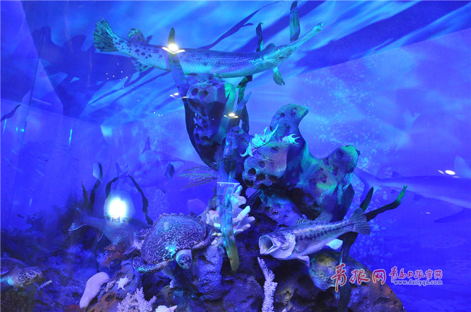 山东最大自然生态博物馆亮相青岛 海洋展区超梦幻