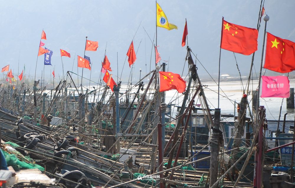 高清：各大渔港供应充足 冬天来青岛吃海鲜吧
