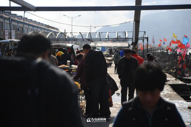 高清：各大渔港供应充足 冬天来青岛吃海鲜吧