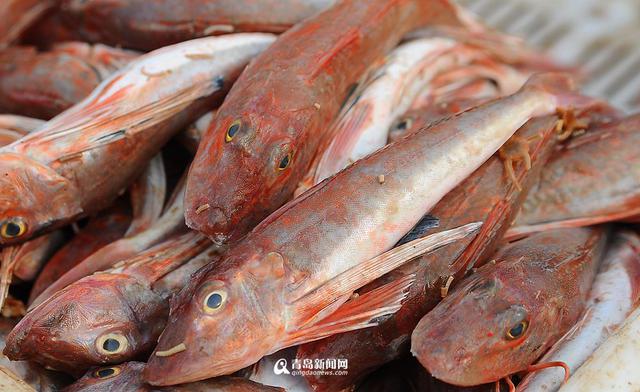 高清：各大渔港供应充足 冬天来青岛吃海鲜吧