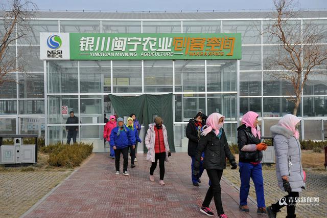 种大棚年入四五万 外出打工村民踏上回乡路