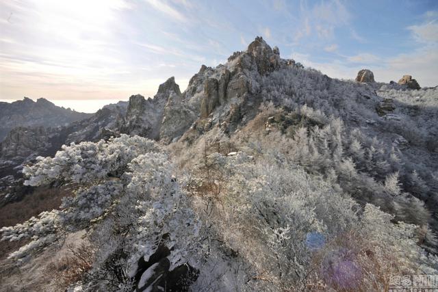 青岛崂山迎冬景观赏季 雾凇云海美若仙境(图)