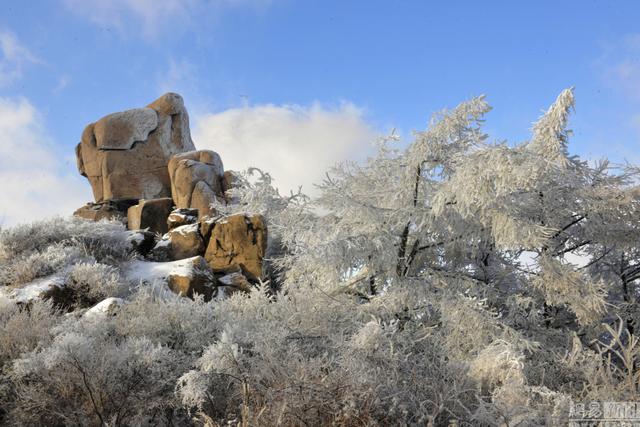 青岛崂山迎冬景观赏季 雾凇云海美若仙境(图)