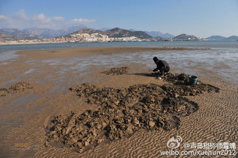 青岛天气晴好“气质”佳 沙子口落潮海滩景如画