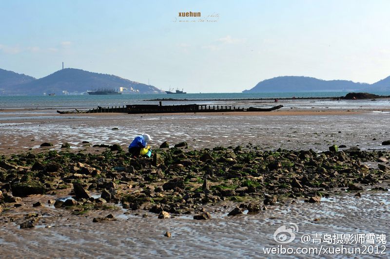 青岛天气晴好“气质”佳 沙子口落潮海滩景如画