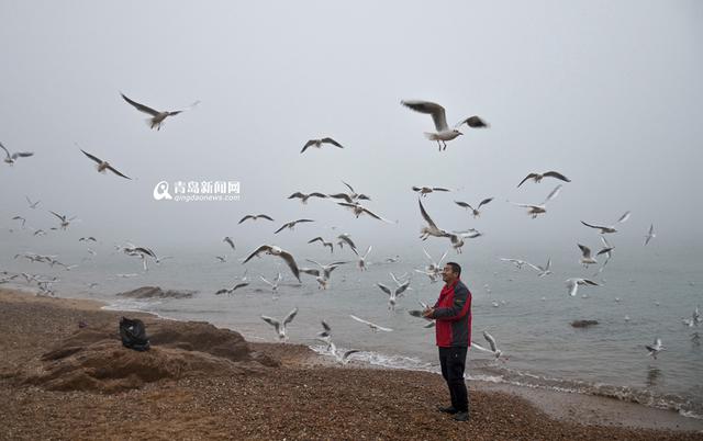 高清：大雾笼罩沿海一线 网友调侃回澜阁丢了