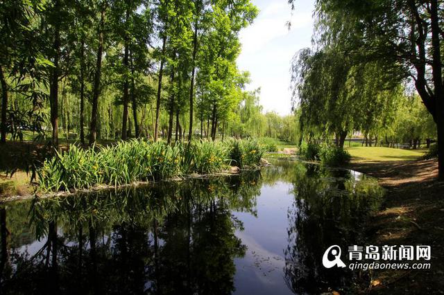 十三五青岛整治62条河 包括海泊河李村河流域