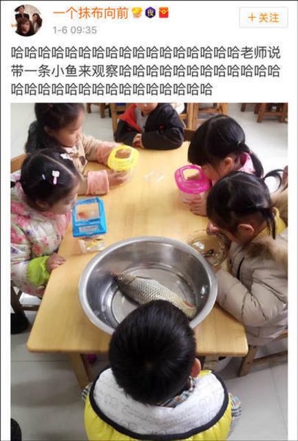 老师说带一条小鱼来观察