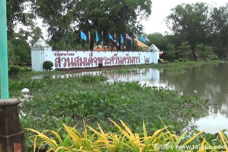 泰国鳄鱼趁洪水逃出动物园 被灾民抓捕分食(图)