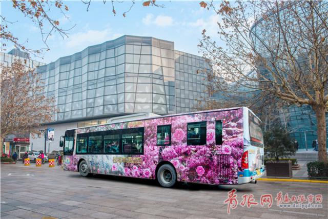 西海岸旅游形象登上济南公交线 9大景点美翻