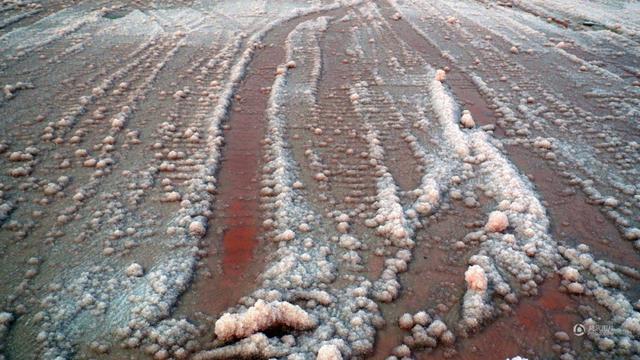 中国死海变成“玫瑰湖” 惊现大面积粉色硝花