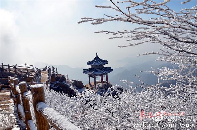 雪后崂山之巅再现绝美雾凇 置身雪国圣境恍如隔世