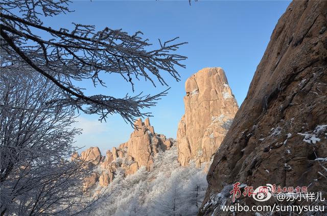 雪后崂山之巅再现绝美雾凇 置身雪国圣境恍如隔世