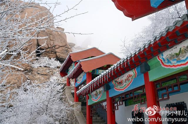 雪后崂山之巅再现绝美雾凇 置身雪国圣境恍如隔世