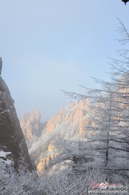 雪后崂山之巅再现绝美雾凇 置身雪国圣境恍如隔世