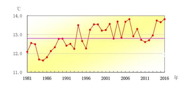 2016青岛气象大数据 酷暑天比往年多一倍