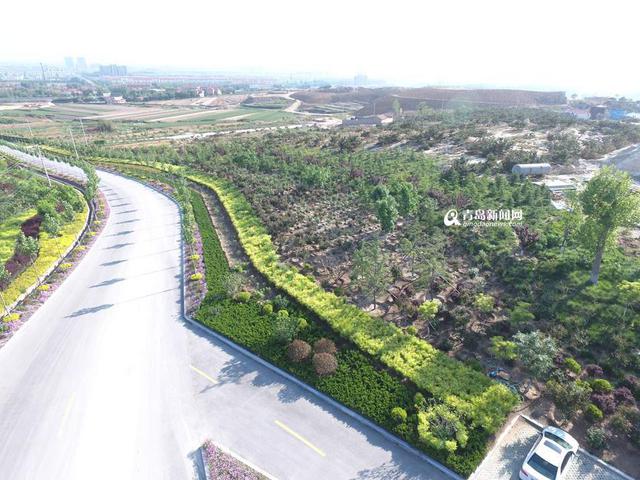 高清：废弃矿山变身公园 1300亩城市绿肺航拍