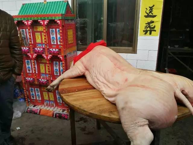 老人女儿已为他买好祭猪