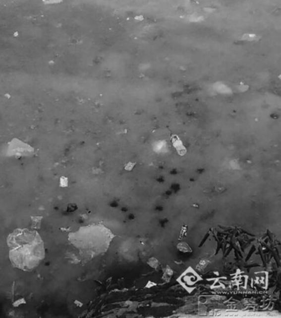 环卫工每天徒步15公里清理垃圾 抓雪吃饼干(图)
