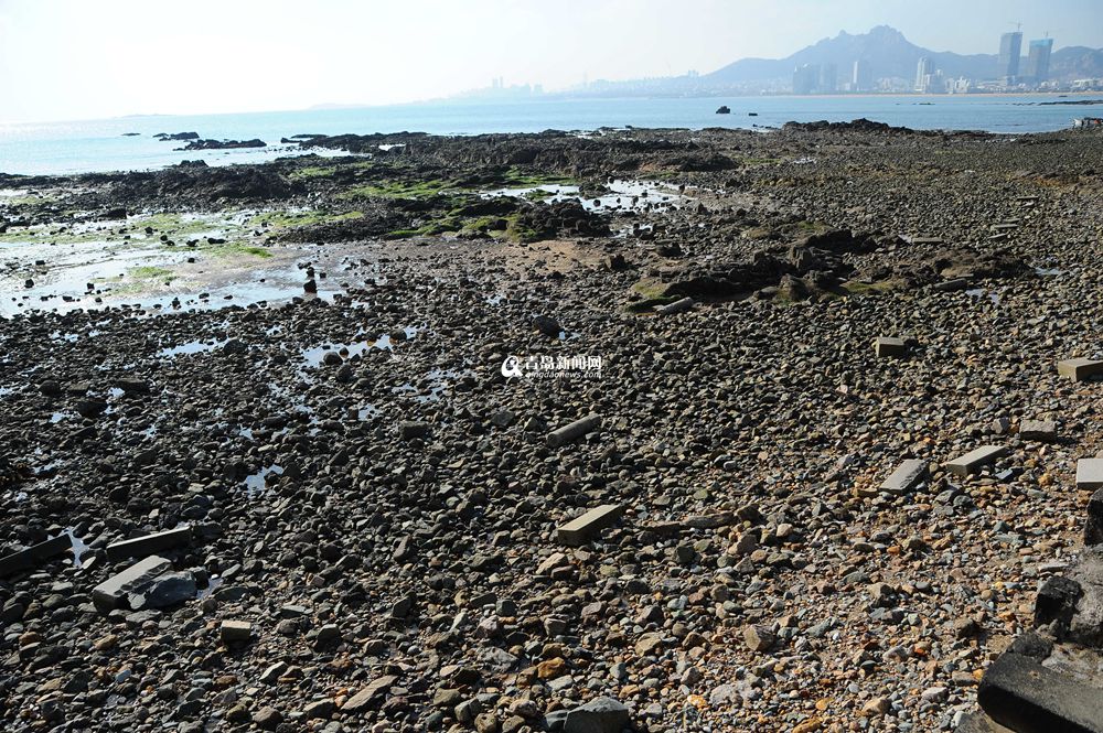 ：崂山海域退大潮 石老人巨石浮出水面