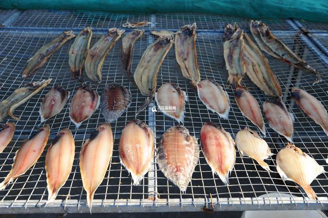高清：这个渔村因晒鱼而著名 冬日里海货飘香