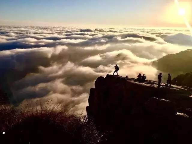 智慧泰山上线 五岳之首换装备技能爆棚