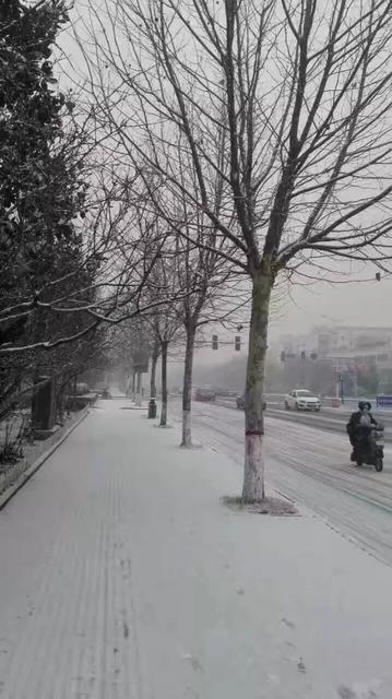 最新：青岛迎降雪道路湿滑 出行注意安全