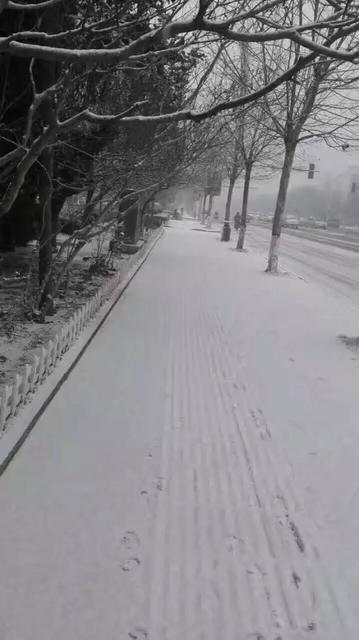 最新：青岛迎降雪道路湿滑 出行注意安全