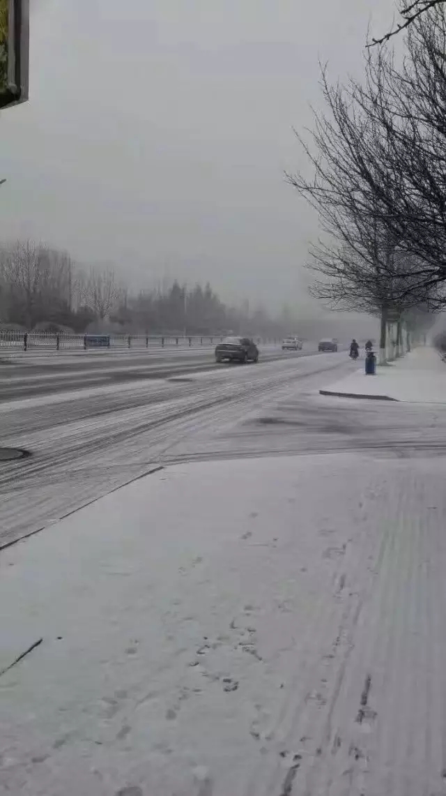 最新：青岛迎降雪道路湿滑 出行注意安全