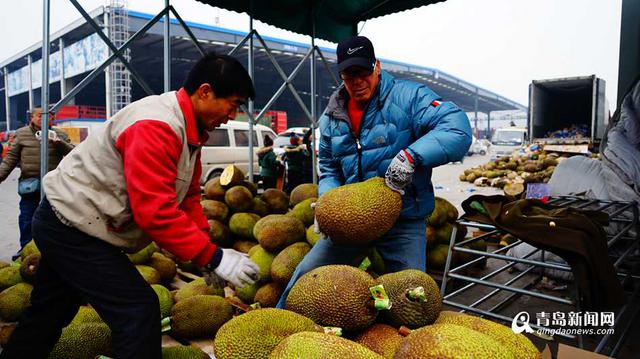 高清：春节青岛进口水果热卖 日销售150万斤