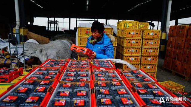 高清：春节青岛进口水果热卖 日销售150万斤