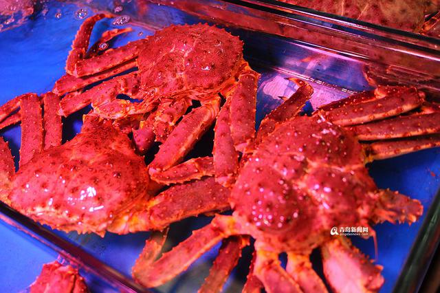 高清：腊月里高档海鲜热卖 块头大看着流口水