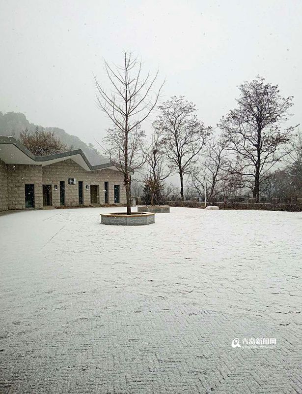 高清：雪后北九水银装素裹 崂山北线已封闭